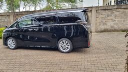 
										Toyota Velfire Luxury 2018 full									