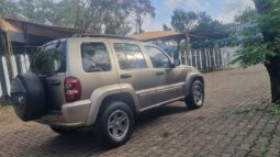 
										JEEP CHEROKEE 2007 full									