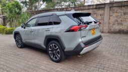 Toyota Rav4 2019 full