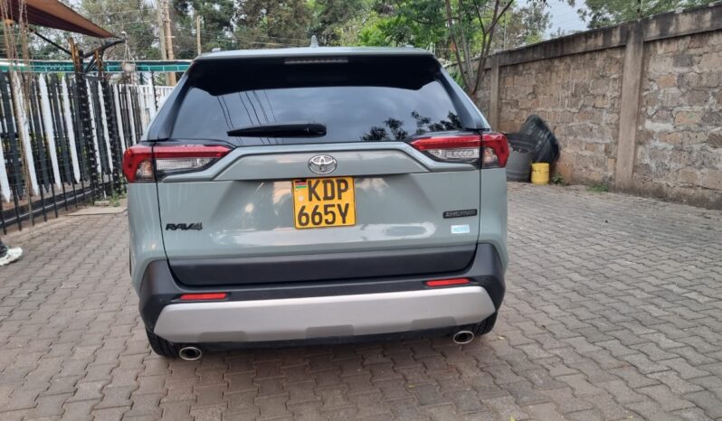 Toyota Rav4 2019 full