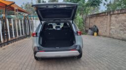 Toyota Rav4 2019 full
