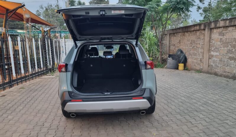 Toyota Rav4 2019 full