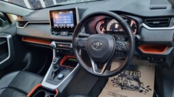 Toyota Rav4 2019 full