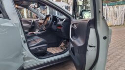 Toyota Rav4 2019 full