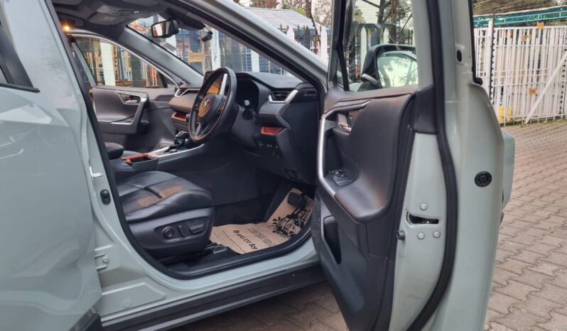 Toyota Rav4 2019 full