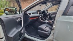 Toyota Rav4 2019 full