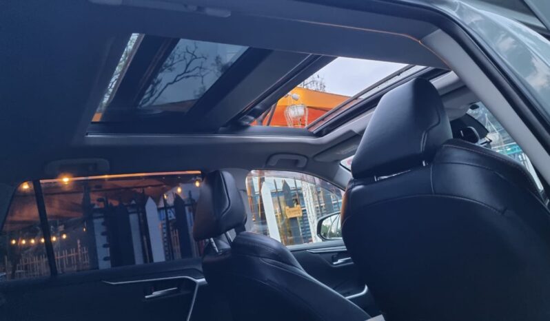 Toyota Rav4 2019 full