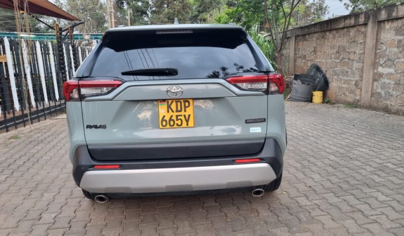 Toyota Rav4 2019 full