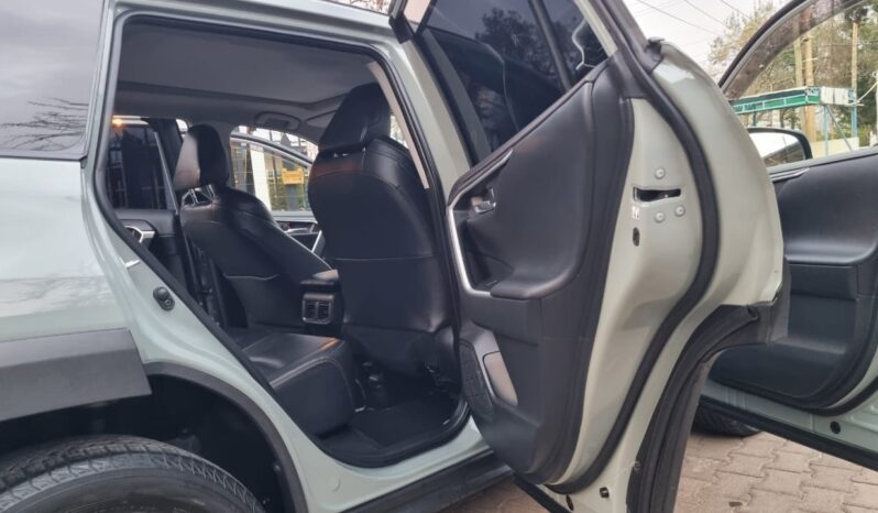 Toyota Rav4 2019 full