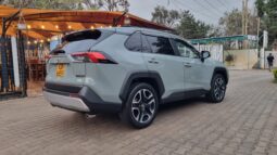 Toyota Rav4 2019 full