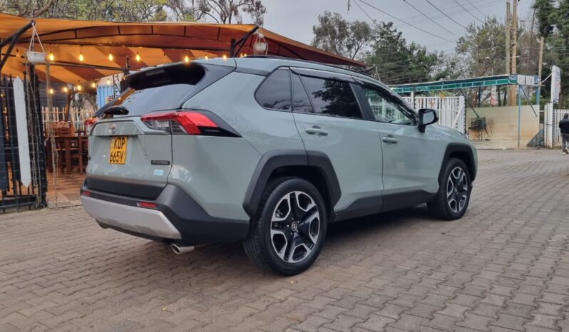 Toyota Rav4 2019 full
