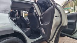 Toyota Rav4 2019 full