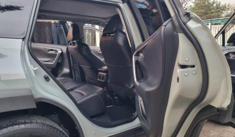 Toyota Rav4 2019 full