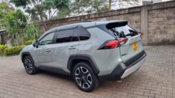 Toyota Rav4 2019 full